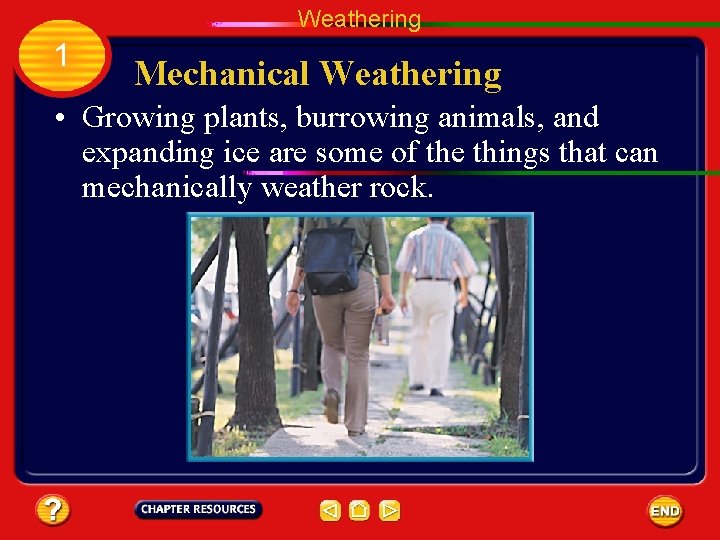 Weathering 1 Mechanical Weathering • Growing plants, burrowing animals, and expanding ice are some