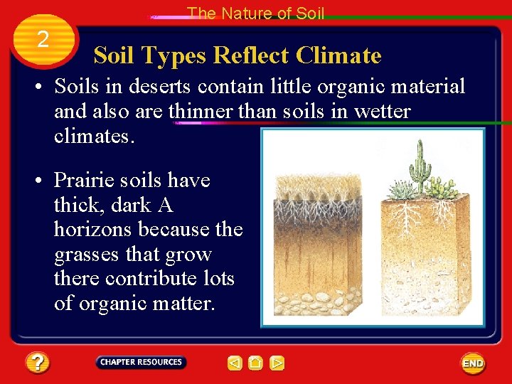 The Nature of Soil 2 Soil Types Reflect Climate • Soils in deserts contain