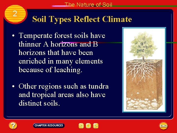 The Nature of Soil 2 Soil Types Reflect Climate • Temperate forest soils have