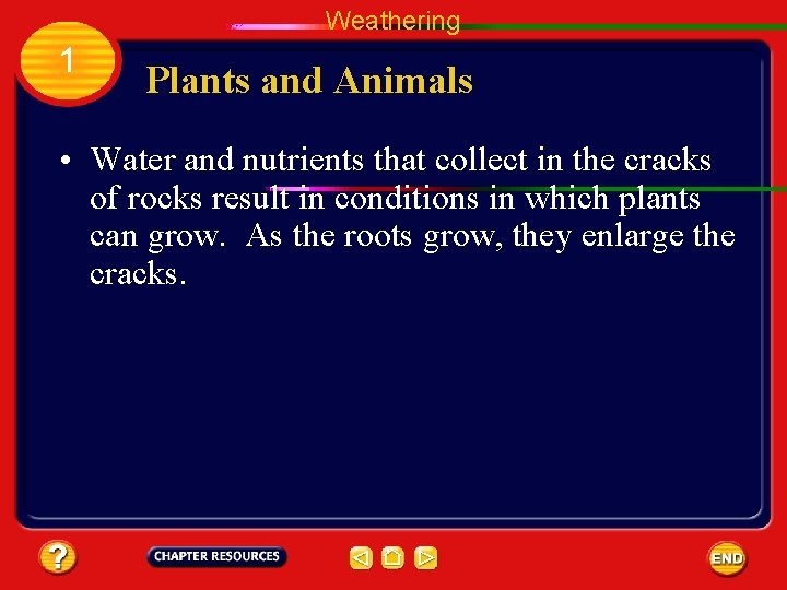 Weathering 1 Plants and Animals • Water and nutrients that collect in the cracks