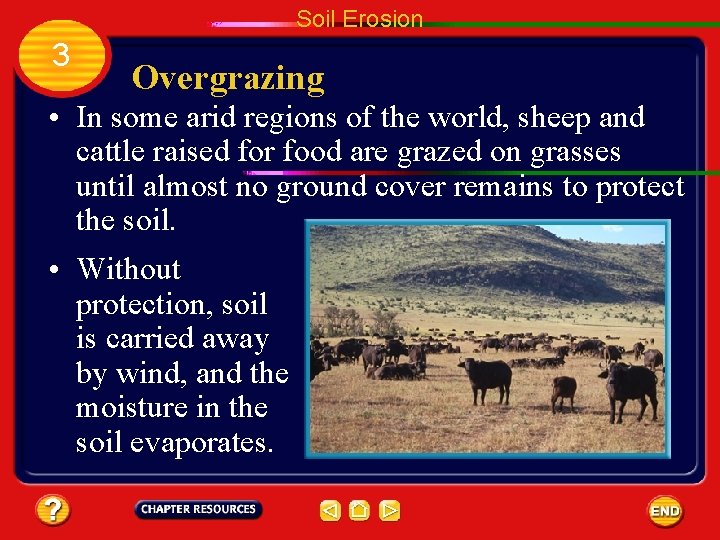 Soil Erosion 3 Overgrazing • In some arid regions of the world, sheep and