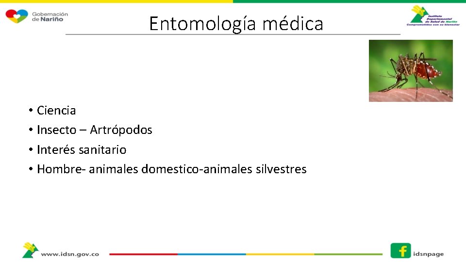 Entomología médica • Ciencia • Insecto – Artrópodos • Interés sanitario • Hombre- animales