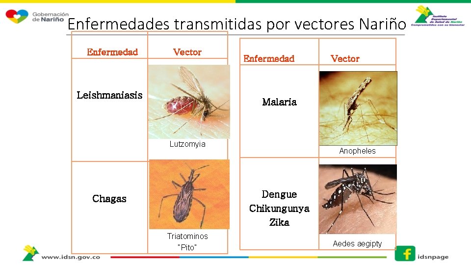Enfermedades transmitidas por vectores Nariño Enfermedad Vector Leishmaniasis Enfermedad Vector Malaria Lutzomyia Anopheles Dengue