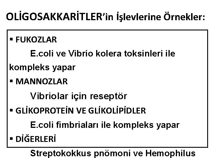 OLİGOSAKKARİTLER’in İşlevlerine Örnekler: § FUKOZLAR E. coli ve Vibrio kolera toksinleri ile kompleks yapar