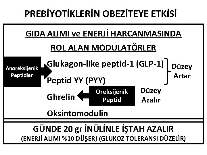 PREBİYOTİKLERİN OBEZİTEYE ETKİSİ GIDA ALIMI ve ENERJİ HARCANMASINDA ROL ALAN MODULATÖRLER Anoreksijenik Peptidler Glukagon-like