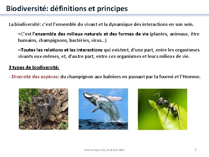 Biodiversité: définitions et principes La biodiversité: c’est l’ensemble du vivant et la dynamique des