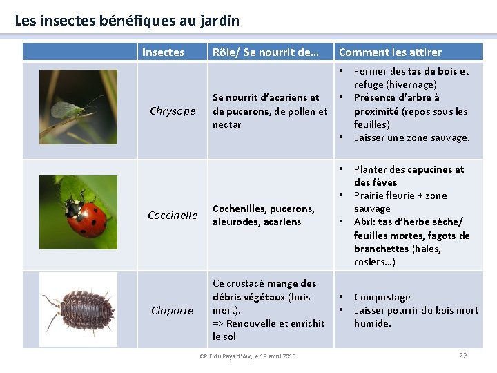 Les insectes bénéfiques au jardin Insectes Rôle/ Se nourrit de… Comment les attirer •