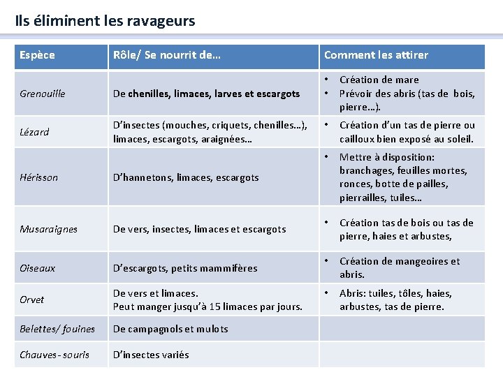 Ils éliminent les ravageurs Espèce Rôle/ Se nourrit de… Comment les attirer Grenouille De