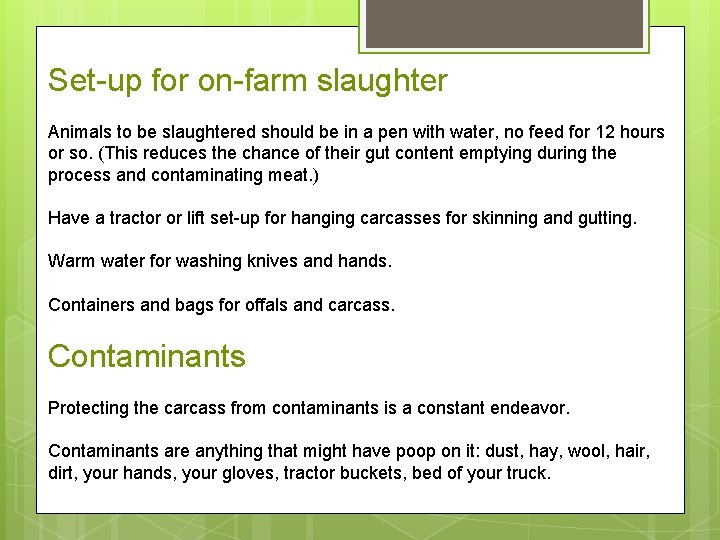 Set-up for on-farm slaughter Animals to be slaughtered should be in a pen with