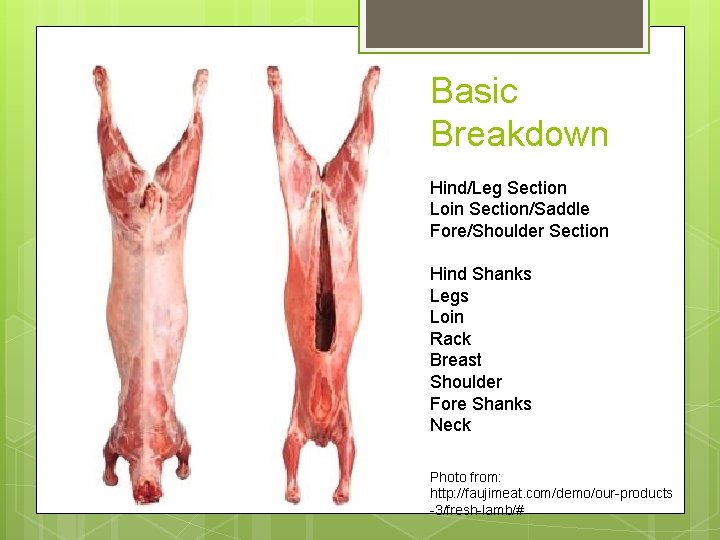 Basic Breakdown Hind/Leg Section Loin Section/Saddle Fore/Shoulder Section Hind Shanks Legs Loin Rack Breast