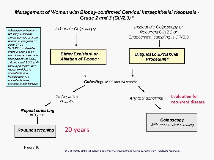 Management of Women with Biopsy-confirmed Cervical Intraepithelial Neoplasia Grade 2 and 3 (CIN 2,