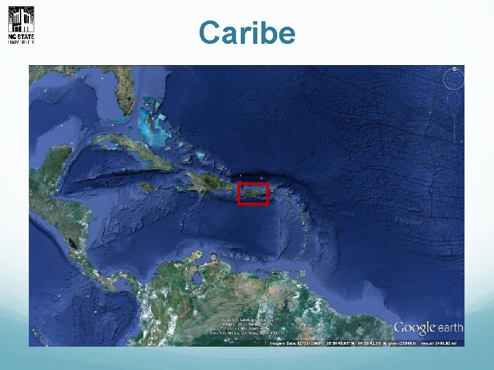 Caribe 