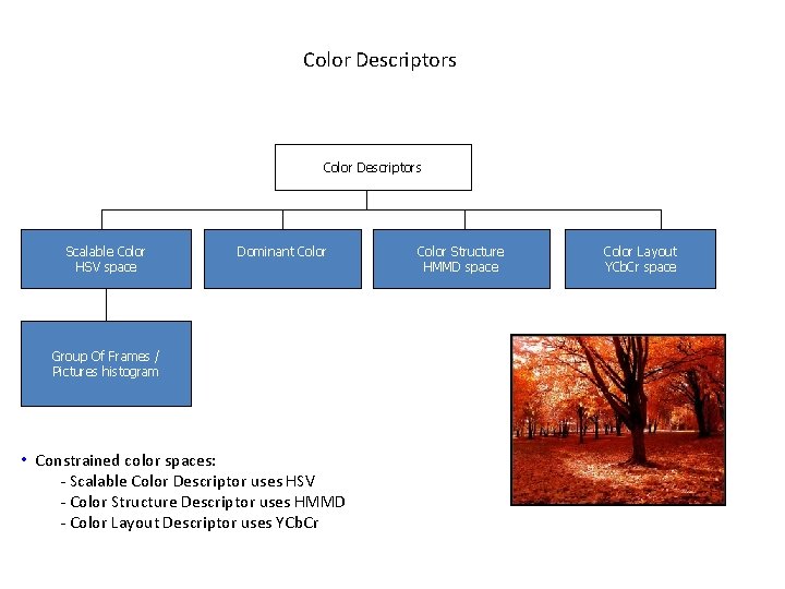 Color Descriptors Scalable Color HSV space Dominant Color Group Of Frames / Pictures histogram