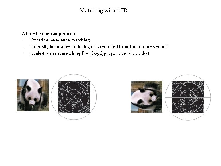 Matching with HTD With HTD one can perform: – Rotation invariance matching – Intensity