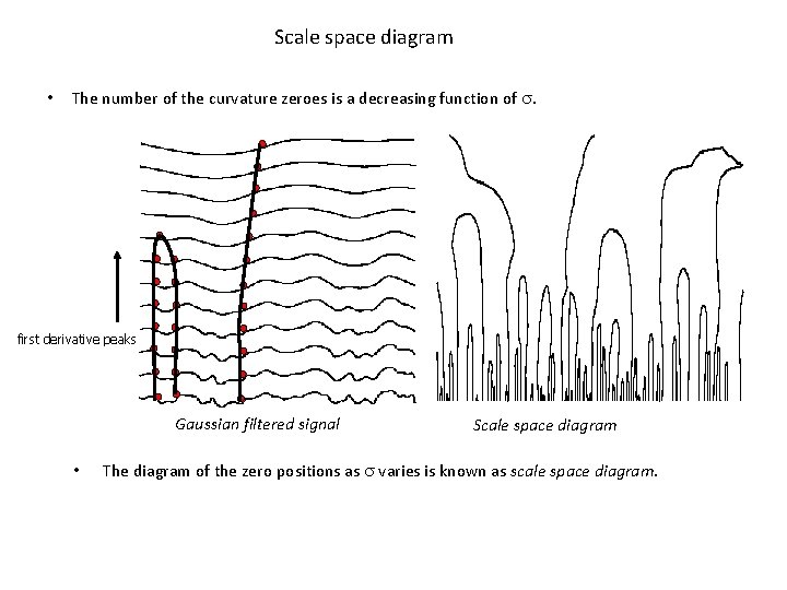 Scale space diagram • The number of the curvature zeroes is a decreasing function