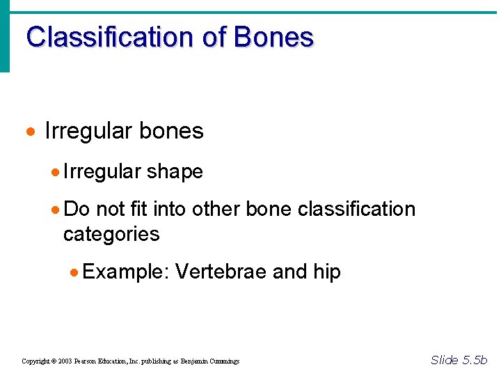 Classification of Bones · Irregular bones · Irregular shape · Do not fit into