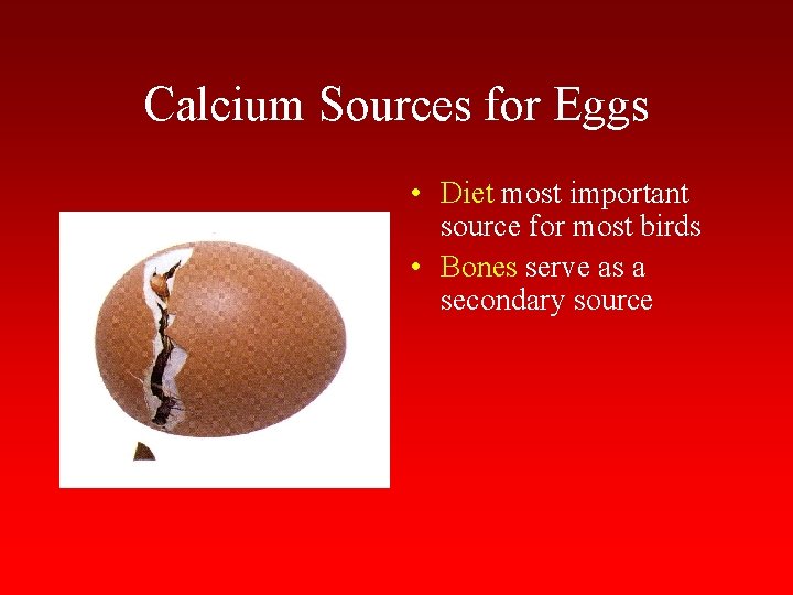 Calcium Sources for Eggs • Diet most important source for most birds • Bones