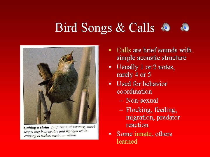 Bird Songs & Calls • Calls are brief sounds with simple acoustic structure •