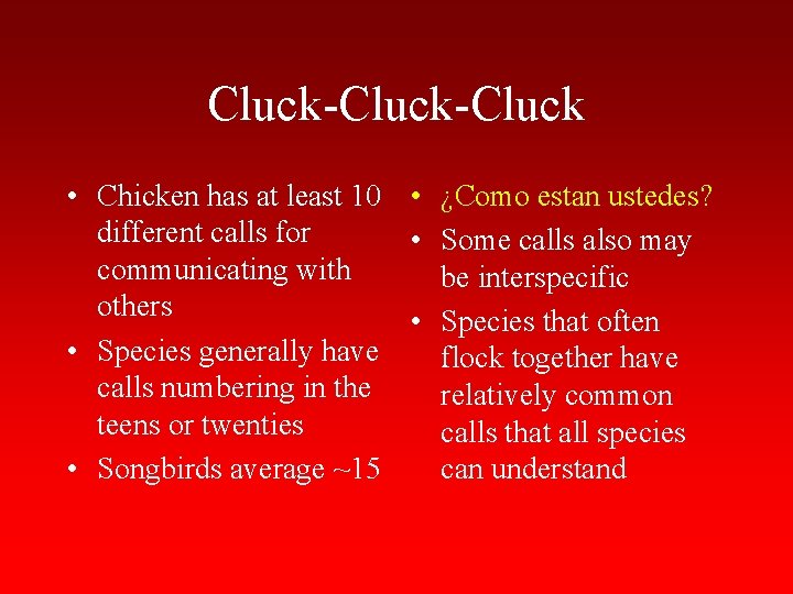 Cluck-Cluck • Chicken has at least 10 • ¿Como estan ustedes? different calls for
