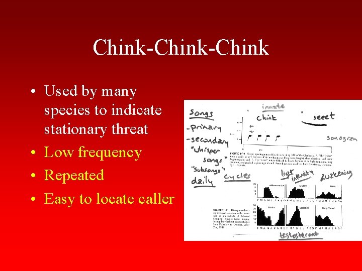 Chink-Chink • Used by many species to indicate stationary threat • Low frequency •