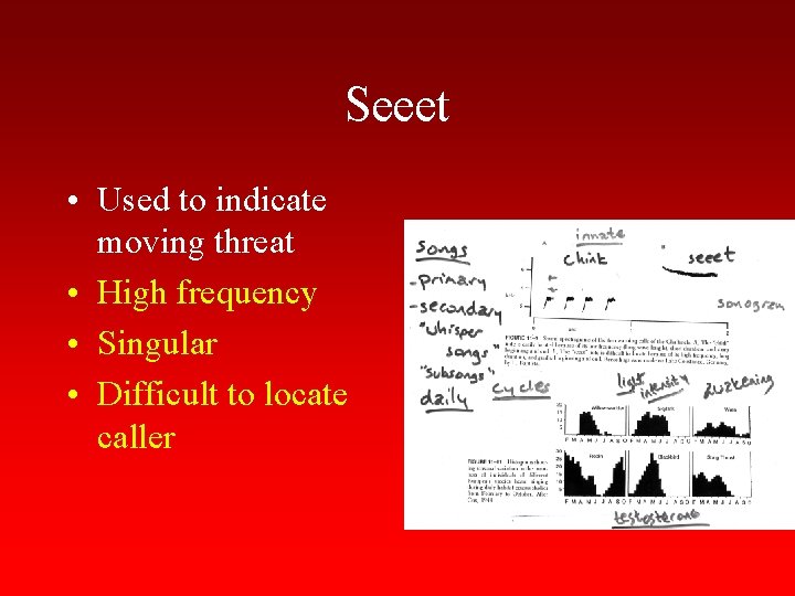 Seeet • Used to indicate moving threat • High frequency • Singular • Difficult