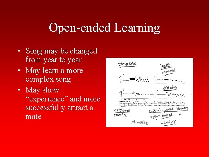 Open-ended Learning • Song may be changed from year to year • May learn