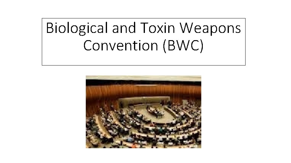 Biological and Toxin Weapons Convention (BWC) 