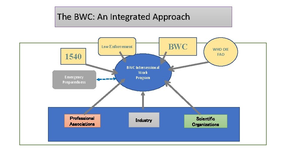The BWC: An Integrated Approach BWC Law Enforcement 1540 Emergency Preparedness Professional Associations WHO