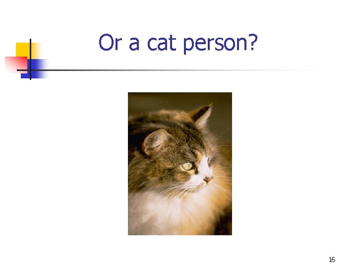 Or a cat person? 16 