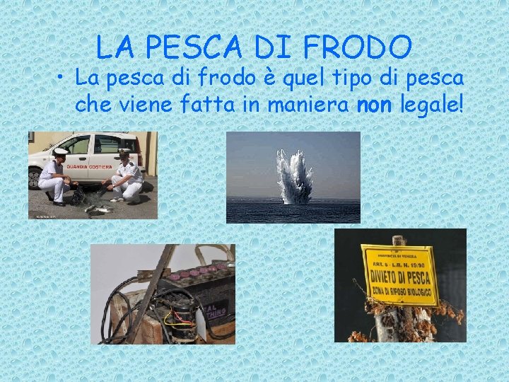 LA PESCA DI FRODO • La pesca di frodo è quel tipo di pesca