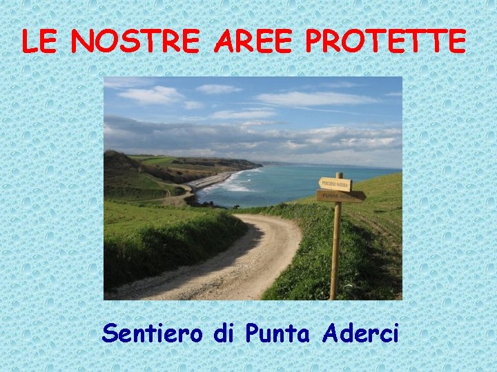 LE NOSTRE AREE PROTETTE Sentiero di Punta Aderci 