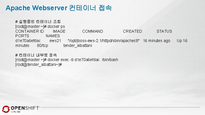 Apache Webserver 컨테이너 접속 # 실행중인 컨테이너 조회 [root@master ~]# docker ps CONTAINER ID