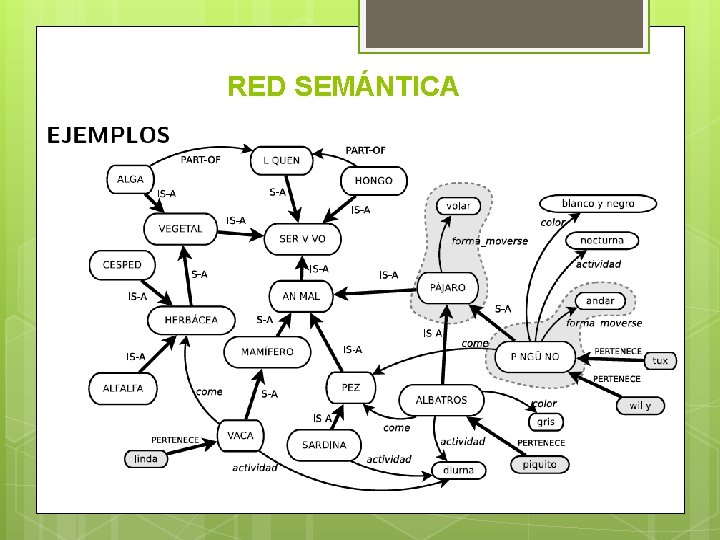 RED SEMÁNTICA 