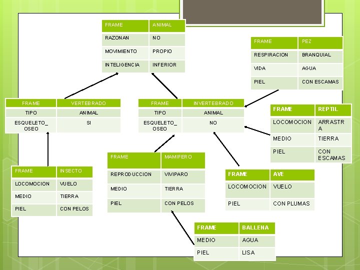 FRAME ANIMAL RAZONAN NO MOVIMIENTO PROPIO INTELIGENCIA INFERIOR FRAME VERTEBRADO FRAME INVERTEBRADO TIPO ANIMAL