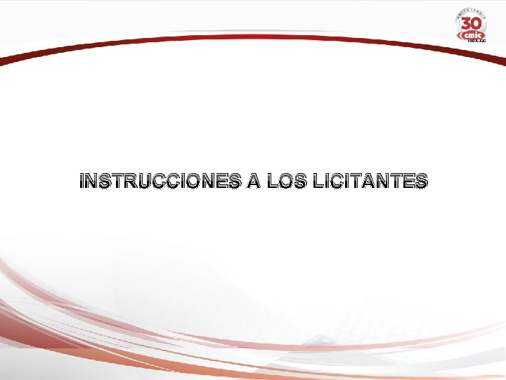 INSTRUCCIONES A LOS LICITANTES 