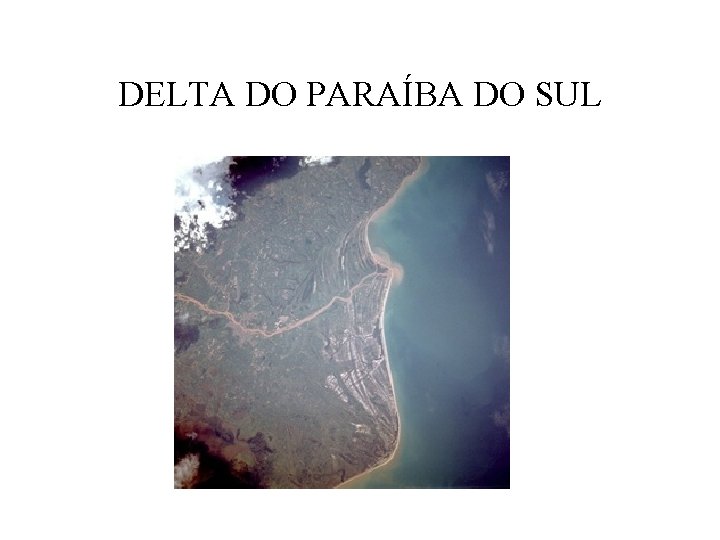 DELTA DO PARAÍBA DO SUL 