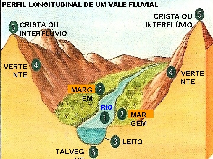 PERFIL LONGITUDINAL DE UM VALE FLUVIAL CRISTA OU INTERFLÚVIO VERTE NTE MARG EM RIO