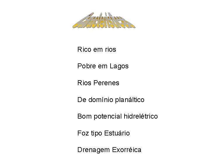 Rico em rios Pobre em Lagos Rios Perenes De domínio planáltico Bom potencial hidrelétrico