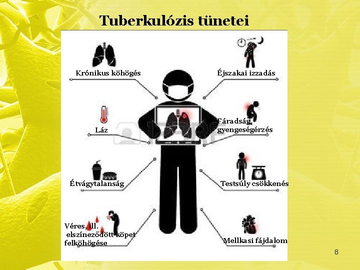 Tuberkulózis tünetei Krónikus köhögés Láz Étvágytalanság Véres, ill. elszíneződött köpet felköhögése Éjszakai izzadás Fáradság,