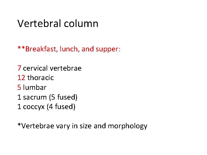 Vertebral column **Breakfast, lunch, and supper: 7 cervical vertebrae 12 thoracic 5 lumbar 1