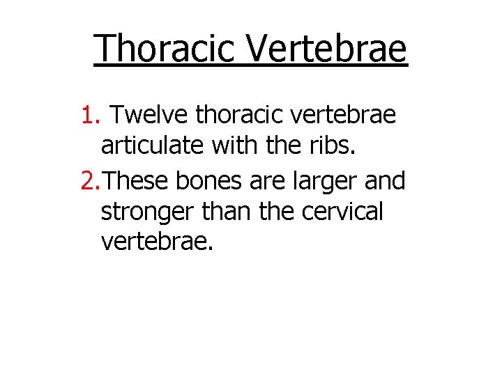 Thoracic Vertebrae 1. Twelve thoracic vertebrae articulate with the ribs. 2. These bones are Thoracic Vertebrae 1. Twelve thoracic vertebrae articulate with the ribs. 2. These bones are