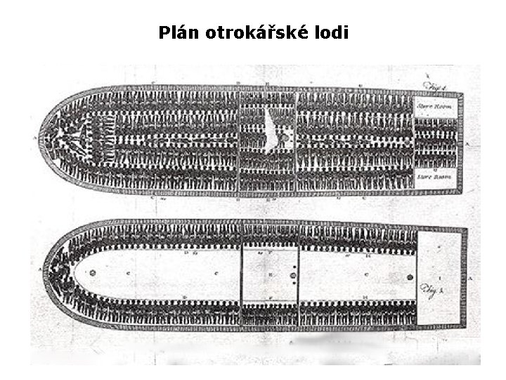 Plán otrokářské lodi 