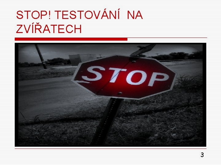 STOP! TESTOVÁNÍ NA ZVÍŘATECH 3 