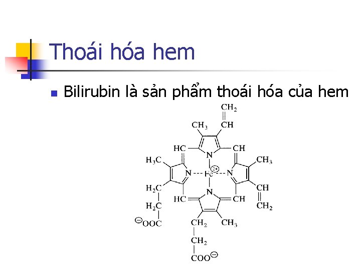 Thoái hóa hem n Bilirubin là sản phẩm thoái hóa của hem 