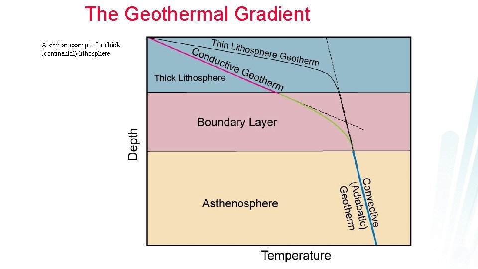 The Geothermal Gradient A similar example for thick (continental) lithosphere. 