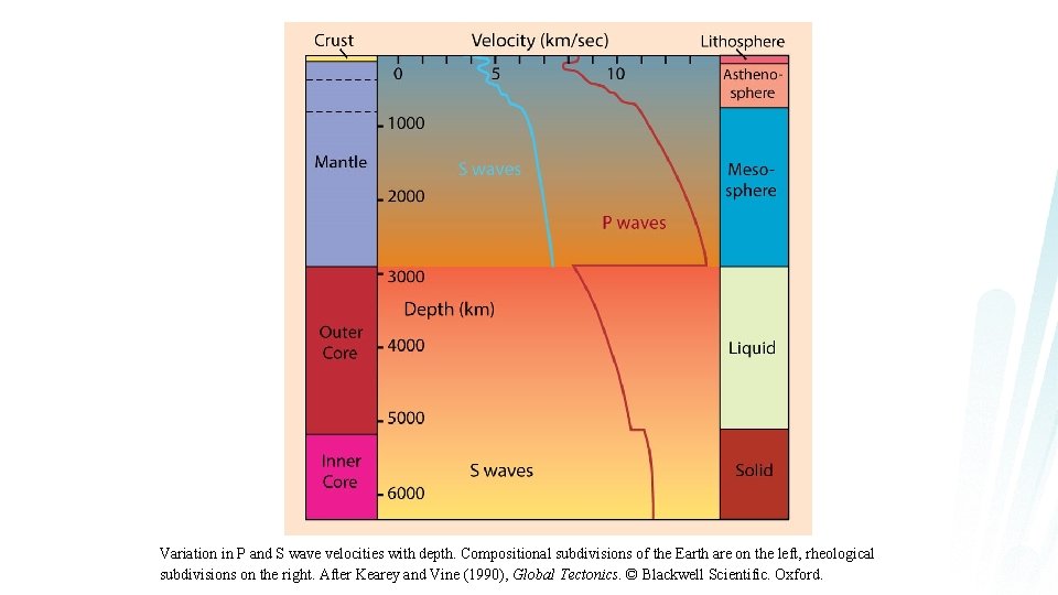 Variation in P and S wave velocities with depth. Compositional subdivisions of the Earth Variation in P and S wave velocities with depth. Compositional subdivisions of the Earth