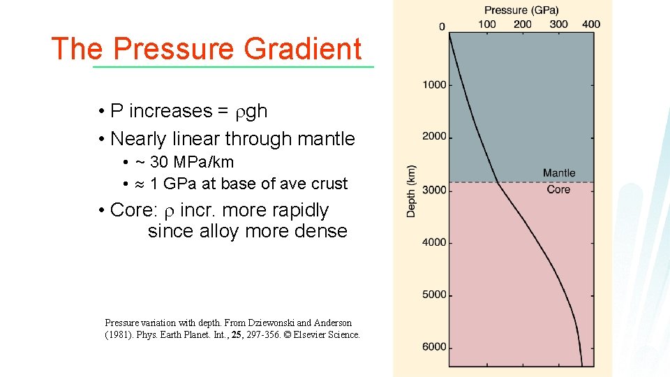 The Pressure Gradient • P increases = rgh • Nearly linear through mantle •