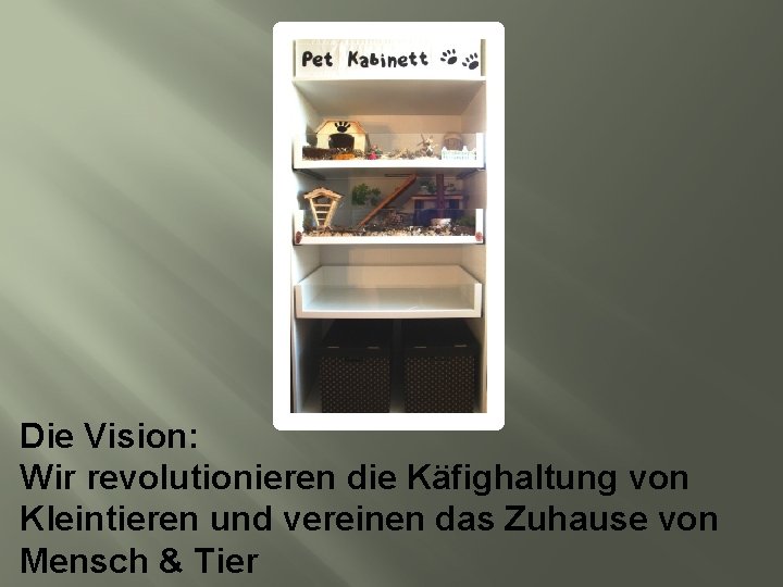 Die Vision: Wir revolutionieren die Käfighaltung von Kleintieren und vereinen das Zuhause von Mensch