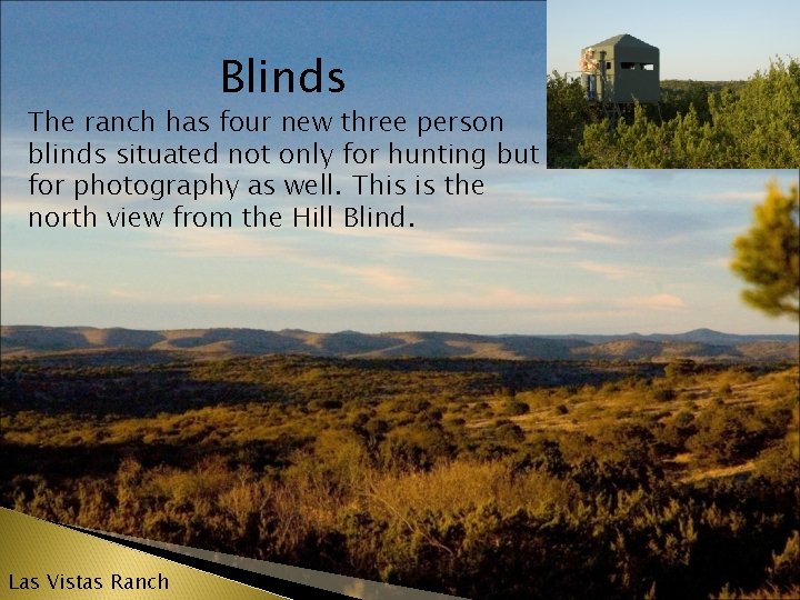 Blinds The ranch has four new three person blinds situated not only for hunting