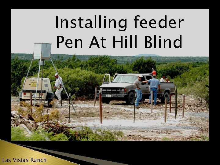 Installing feeder Pen At Hill Blind Las Vistas Ranch 